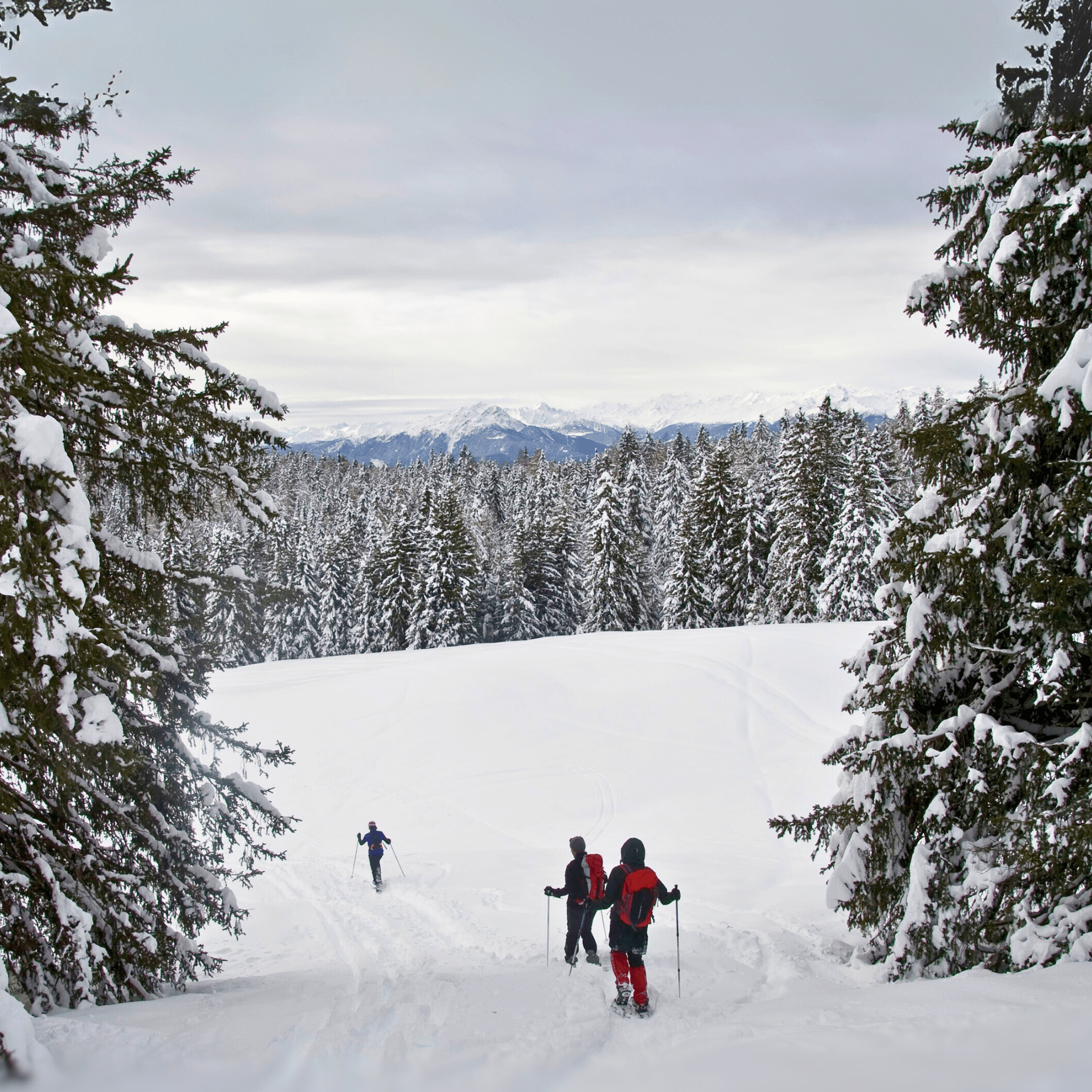 Ciaspolata sul Monte Calvo - Dolomist