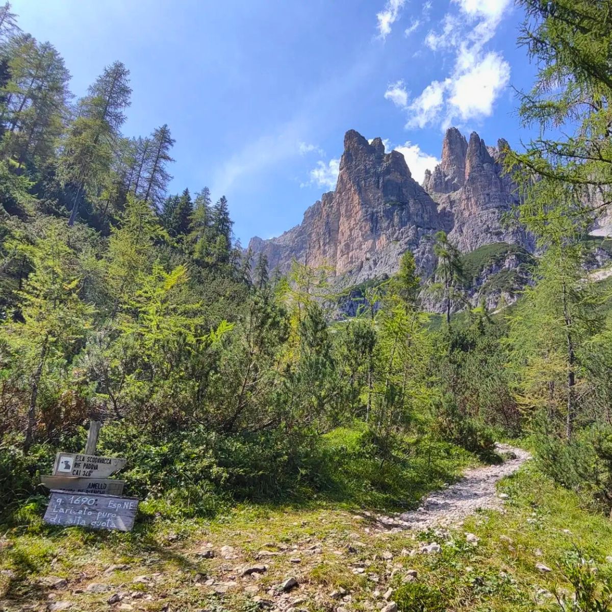 Escursione all'Anello Bianchi e al Rifugio Giaf - Dolomist