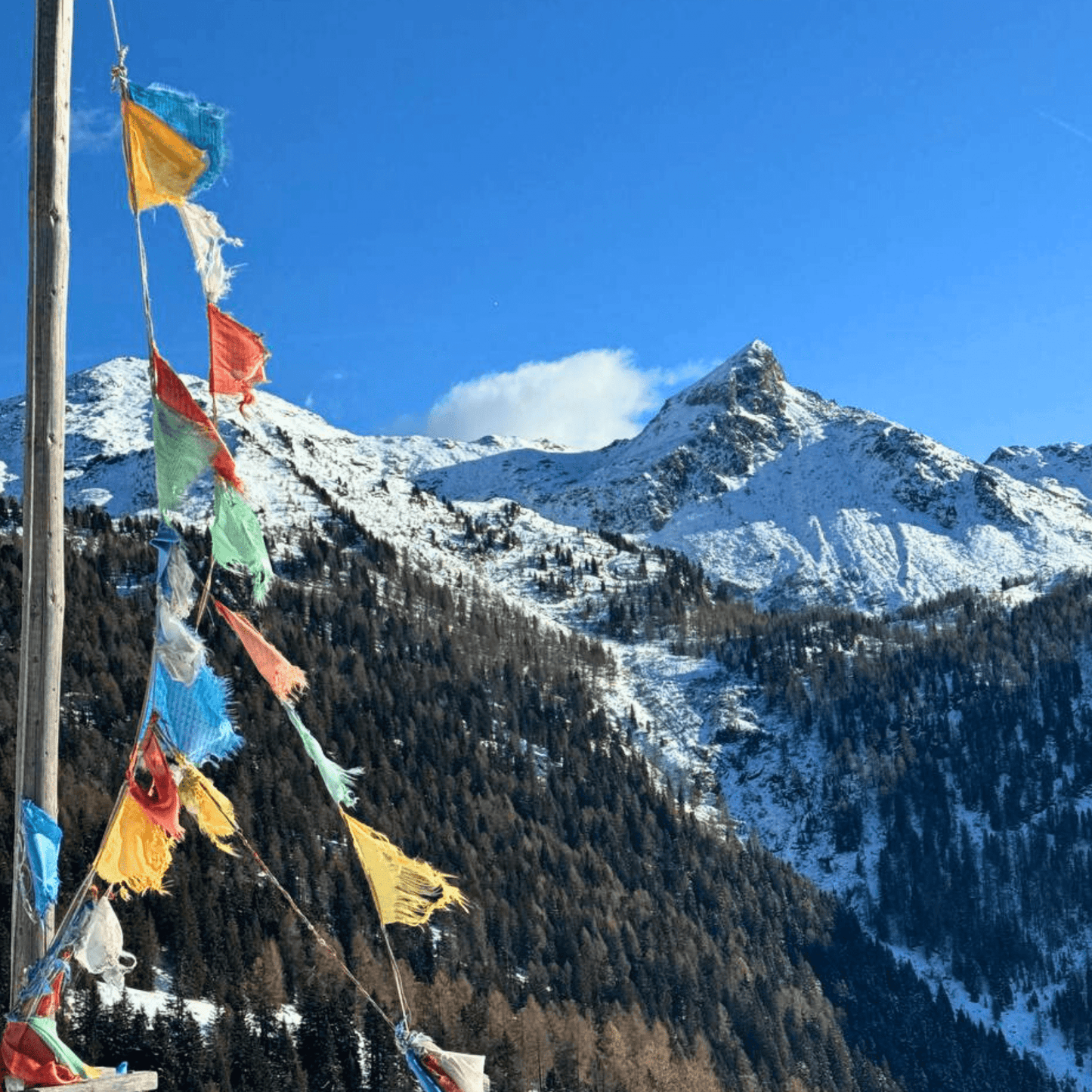 Escursione al Rifugio Consèria - Dolomist