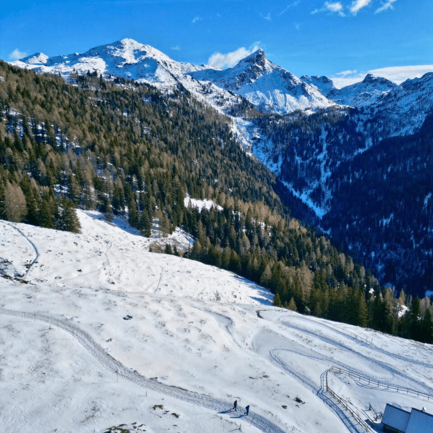 Escursione al Rifugio Consèria - Dolomist