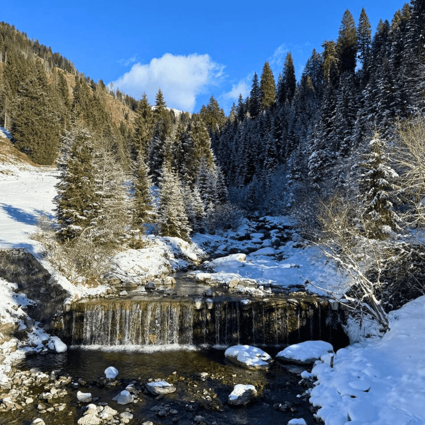 Escursione al Rifugio Consèria - Dolomist