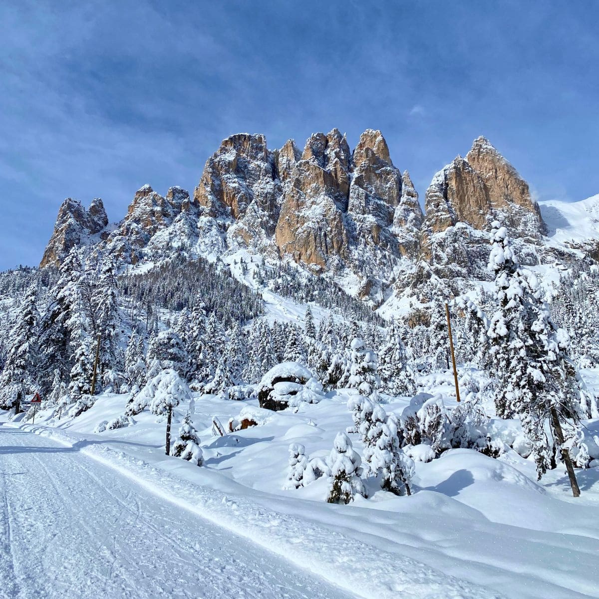Escursione al Rifugio Vajolet e pranzo tipico al Rifugio Stella Alpina 🚶🏼♀️⛰️🍝 - Dolomist