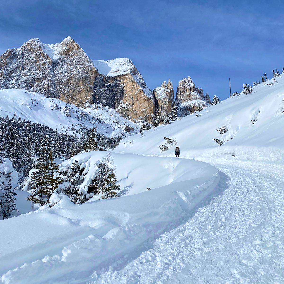 Escursione invernale al Rifugio Gardeccia - Dolomist