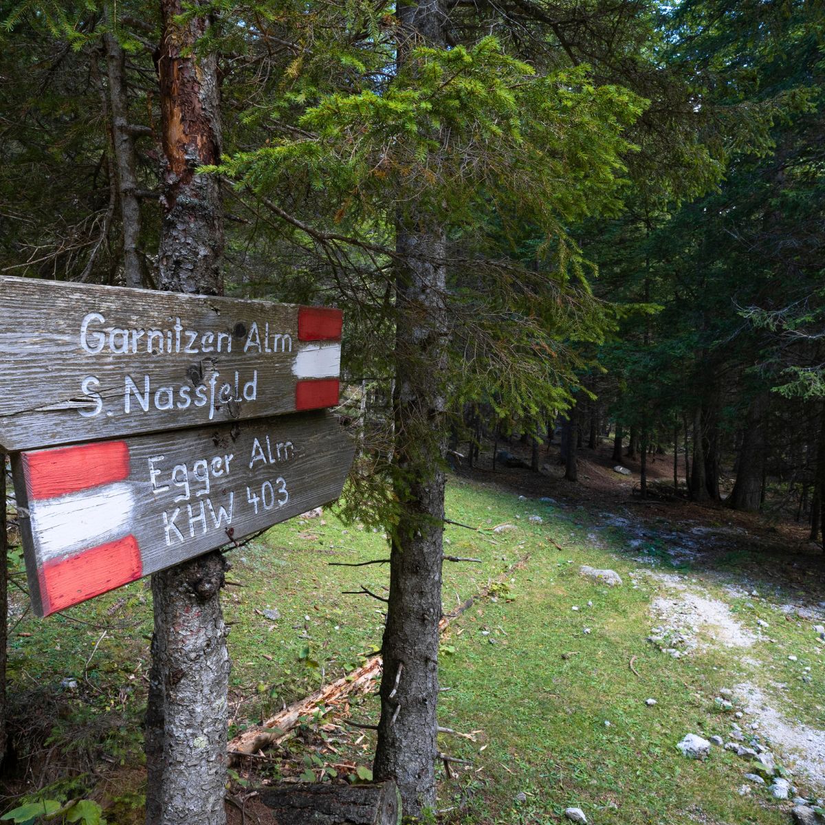 4 giorni di MADE Trek self-guided: da Passo Pramollo a Monte Lussari - Dolomist