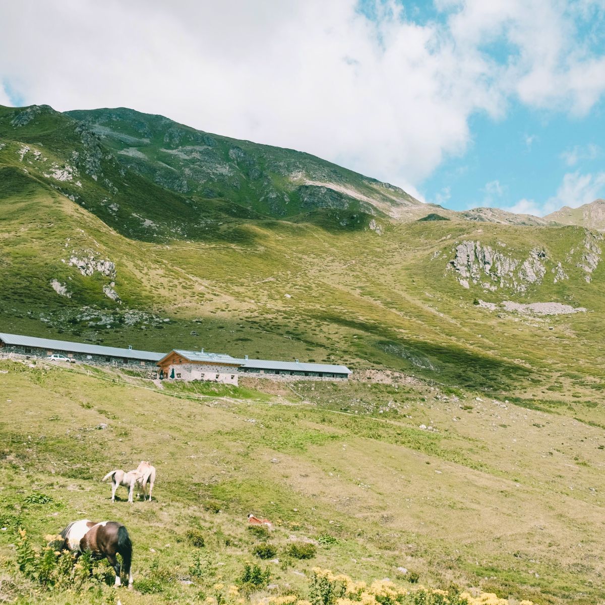 Self-guided trek tra malghe, rifugi e agriturismi nel Parco Nazionale dello Stelvio - Dolomist