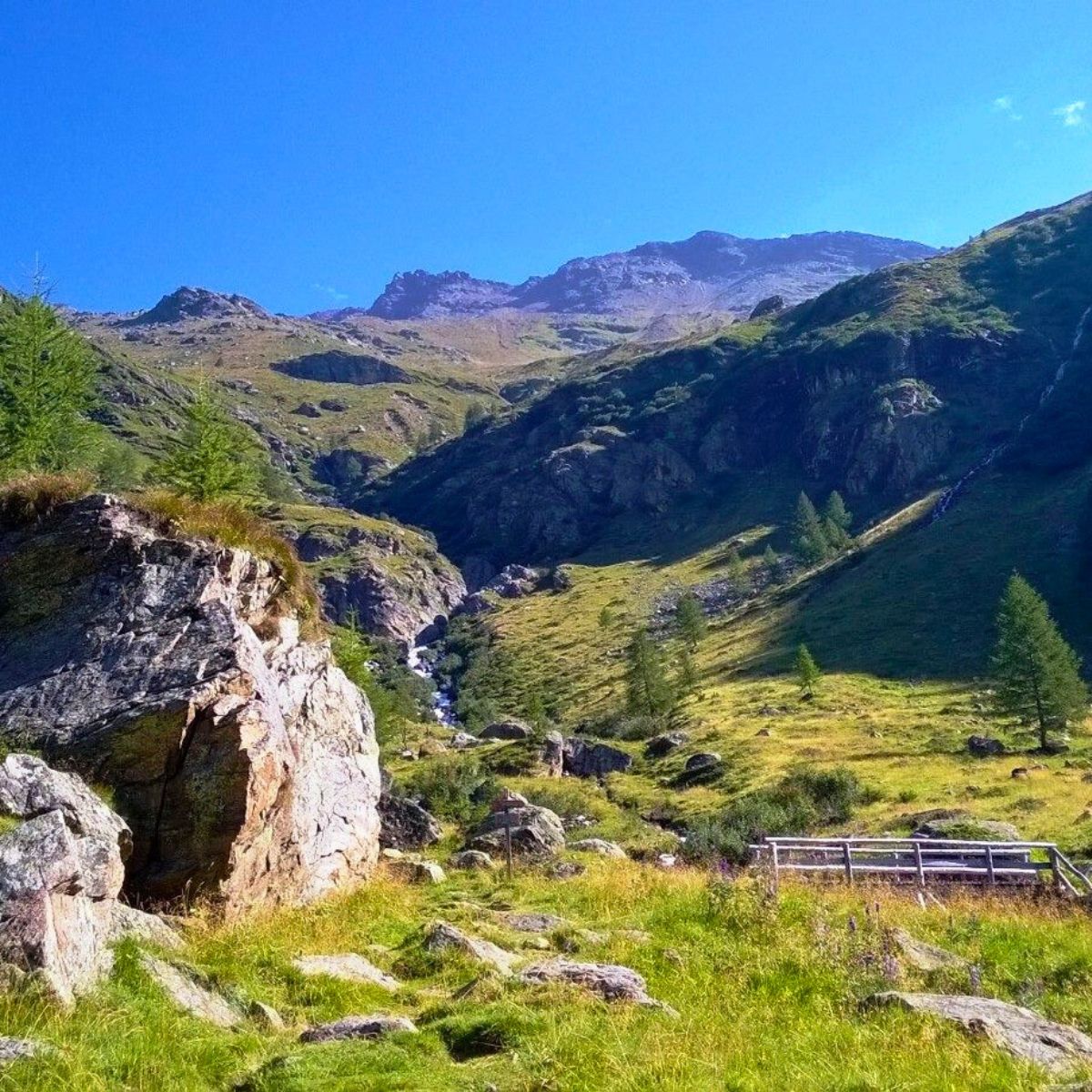Self-guided trek tra malghe, rifugi e agriturismi nel Parco Nazionale dello Stelvio - Dolomist