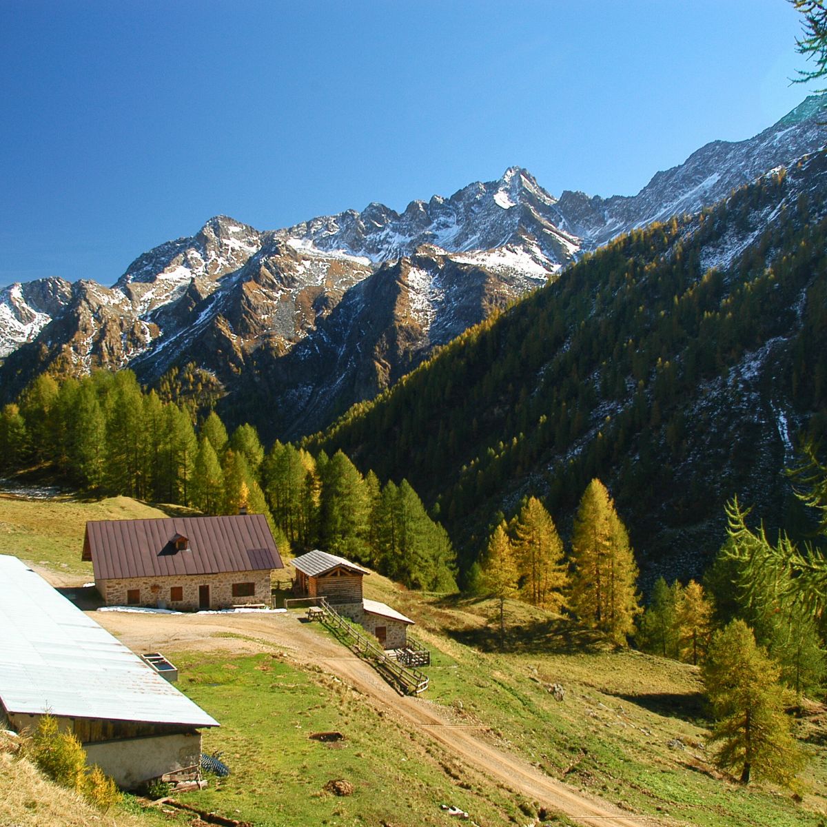 Self-guided trek tra malghe e rifugi nel Parco dello Stelvio - Dolomist
