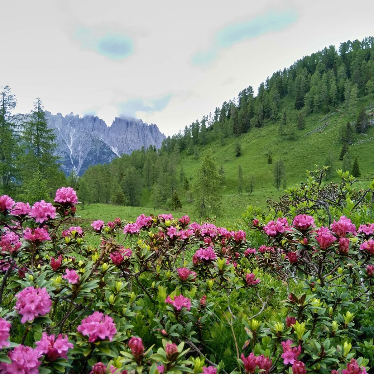 Trekking di 2 giorni nelle Alpi Carniche - Dolomist