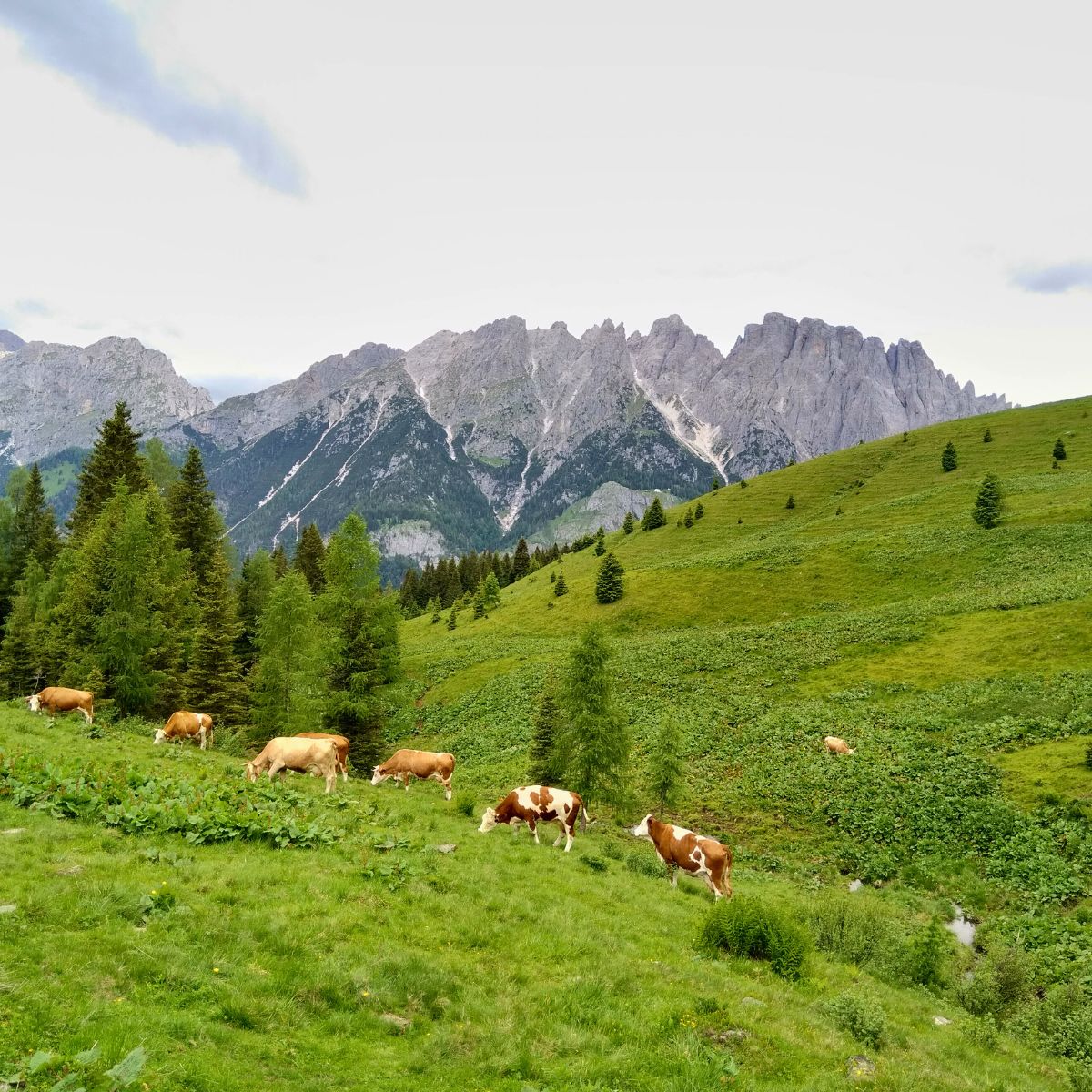 Trekking di 2 giorni nelle Alpi Carniche - Dolomist