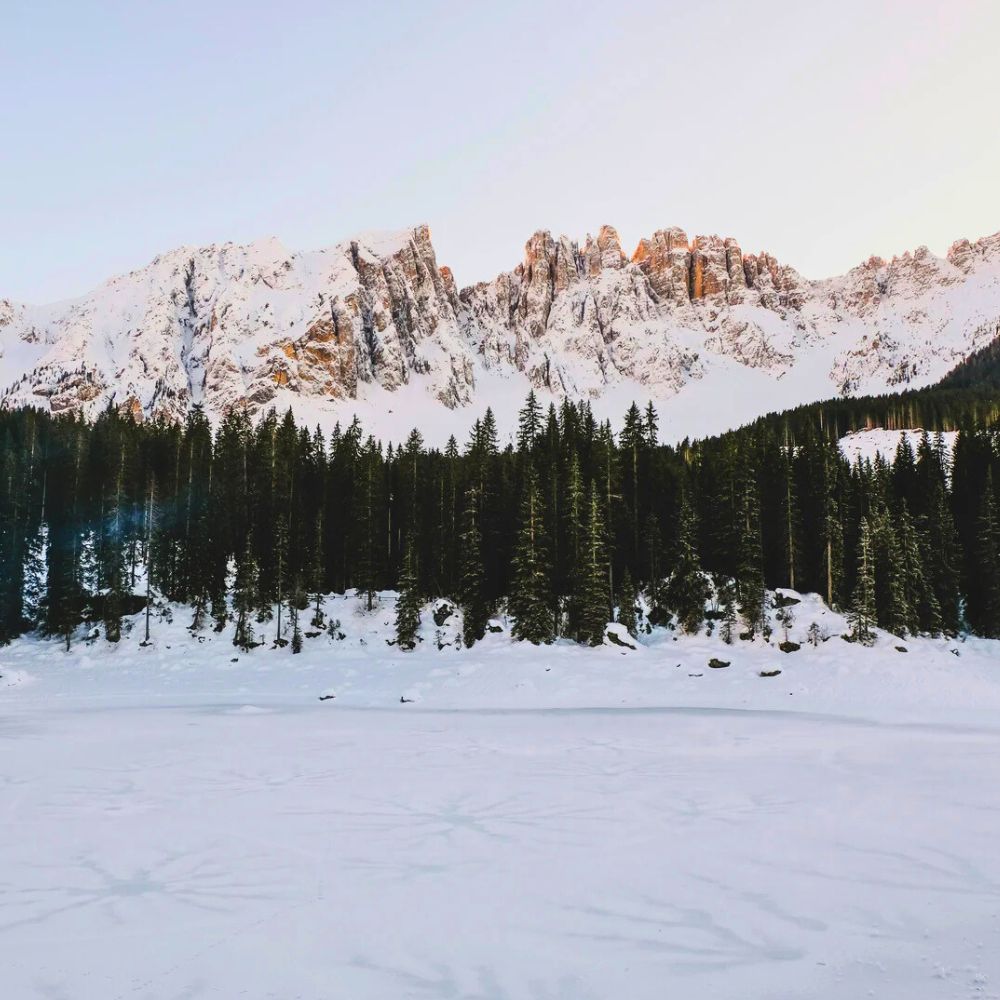 Forest bathing e pranzo tipico al Lago di Carezza 🏔️🌱🍝 - Dolomist