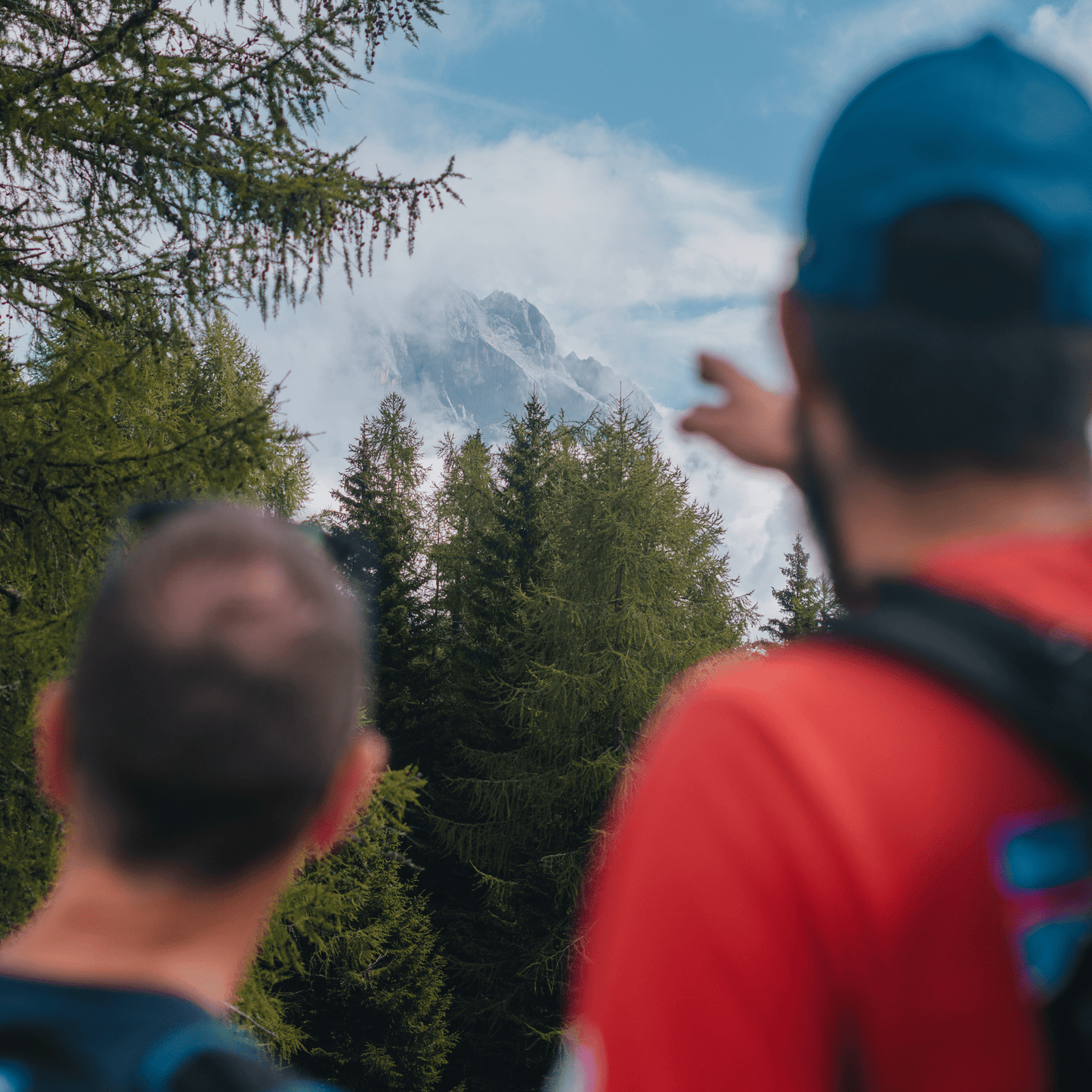 Teambuilding – Natur und Mentoring (Halbtagesprogramm)