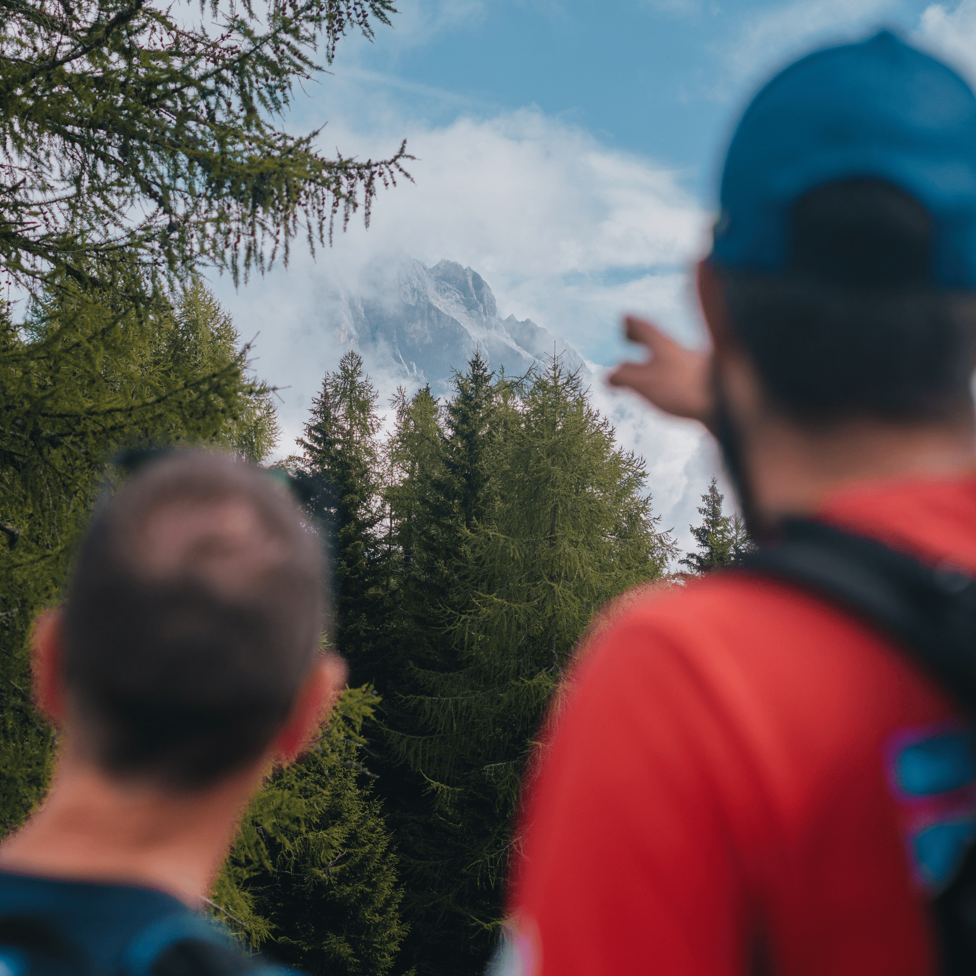 Team Building - Natura & Mentorship (Programma mezza giornata) - Dolomist