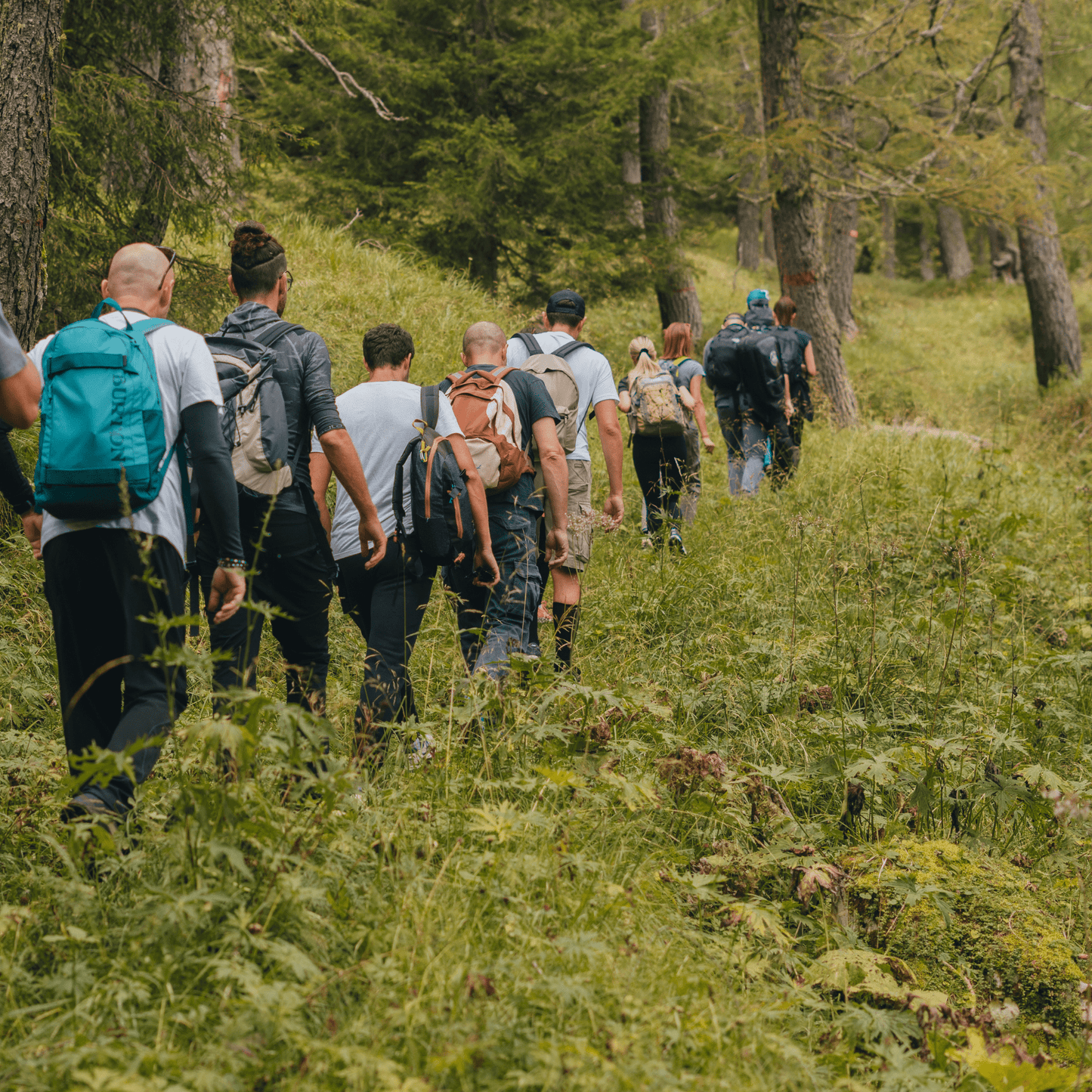 Teambuilding – Natur und Mentoring (Ganztagesprogramm)