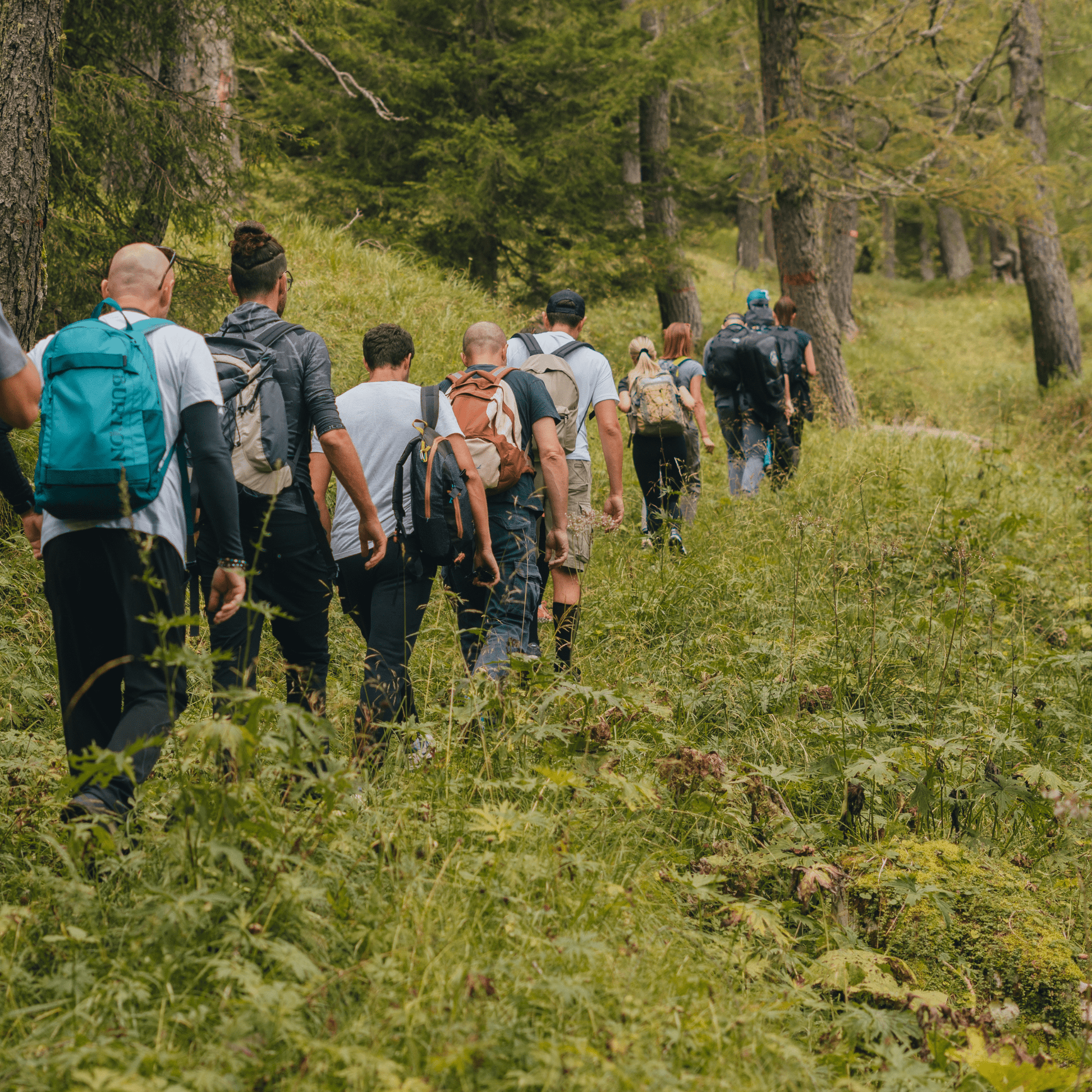 Team Building - Natura & Mentorship (Programma giornata intera) - Dolomist