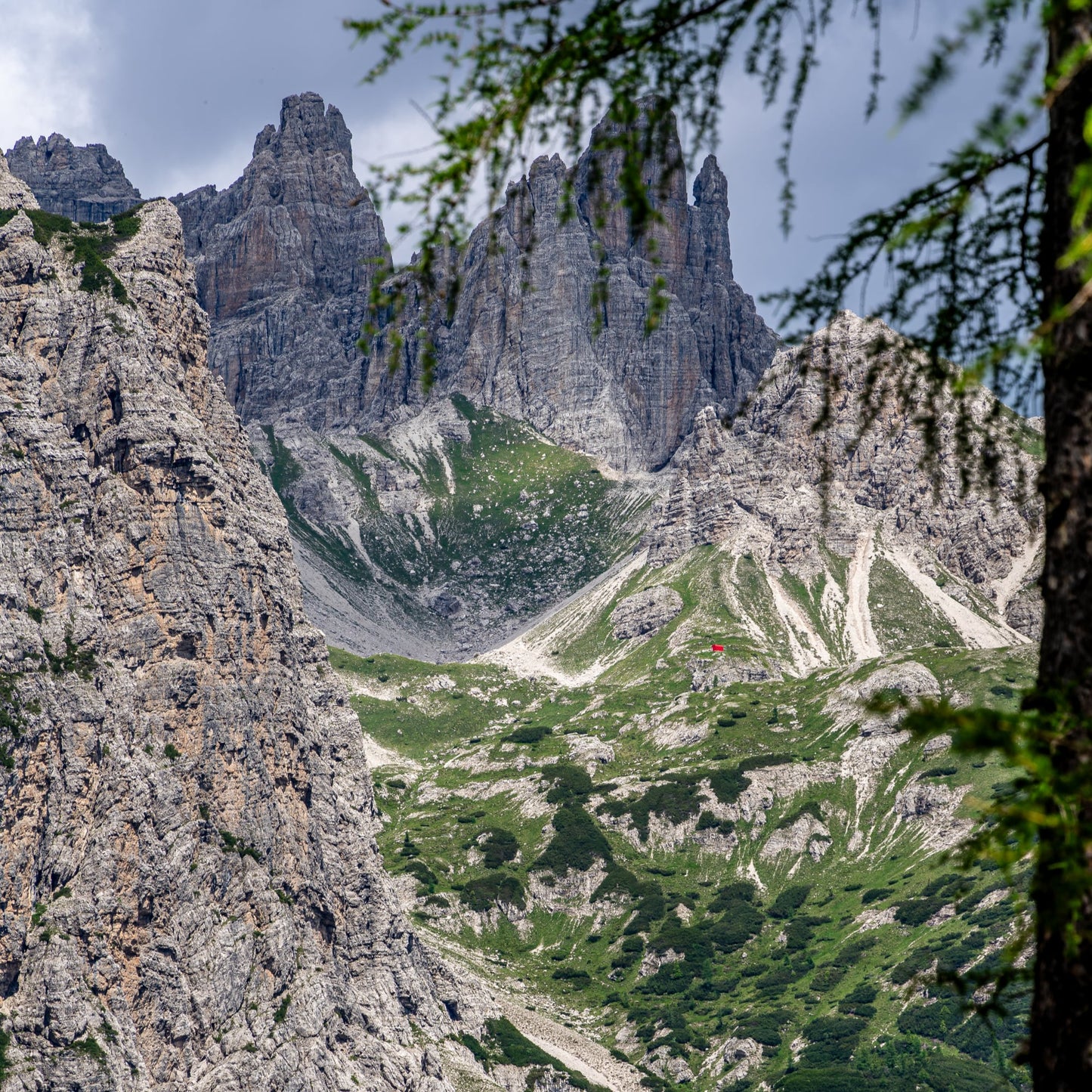 2 giorni al Rifugio Giaf: botanica alpina, notte stellata, forest bathing e concerto musicale 🌿✨🌲🎷 - Dolomist