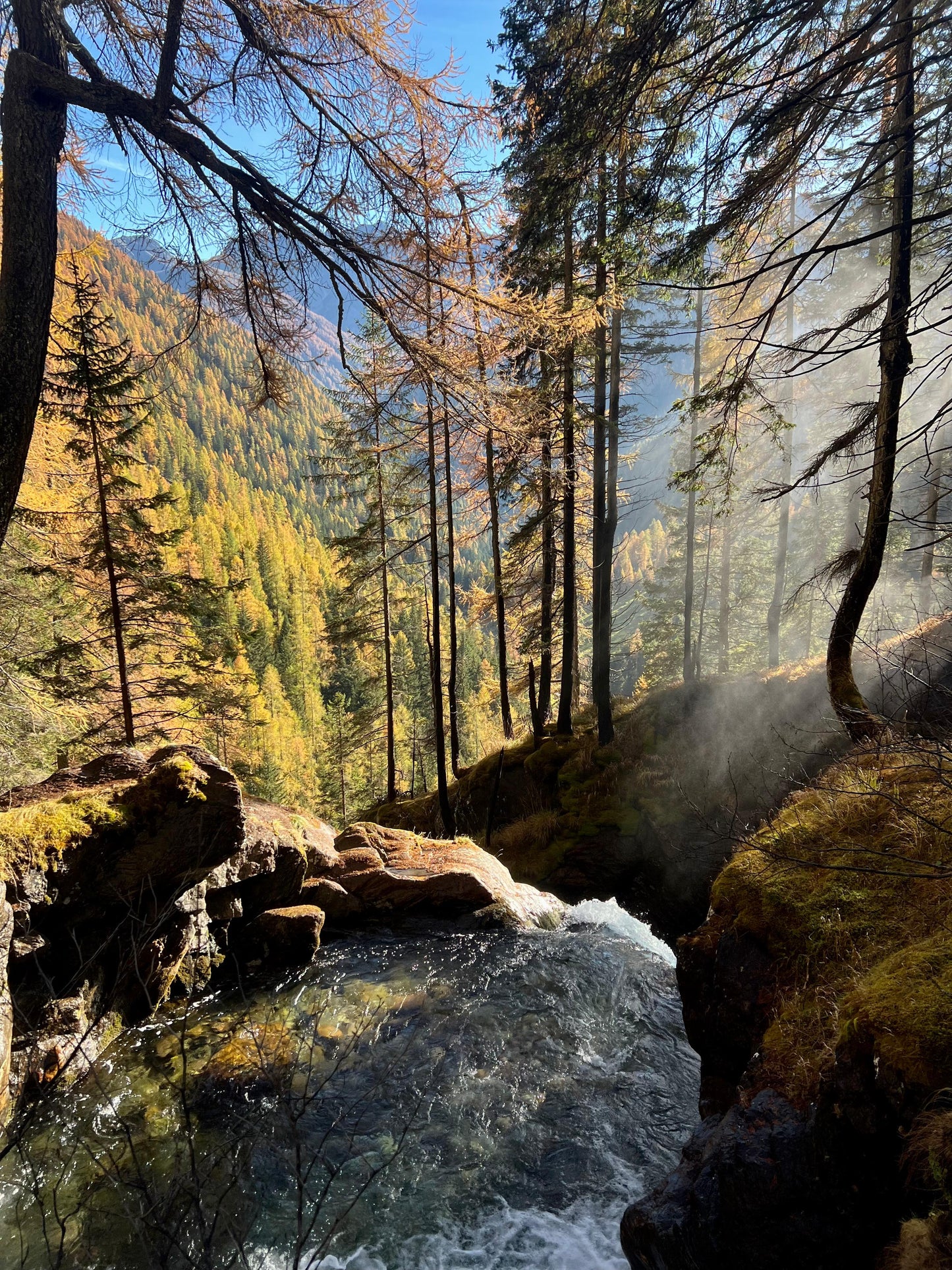 Foliage e Forest Bathing nelle Dolomiti: Immergiti nella Natura ⛰️🎒🌱 - Dolomist