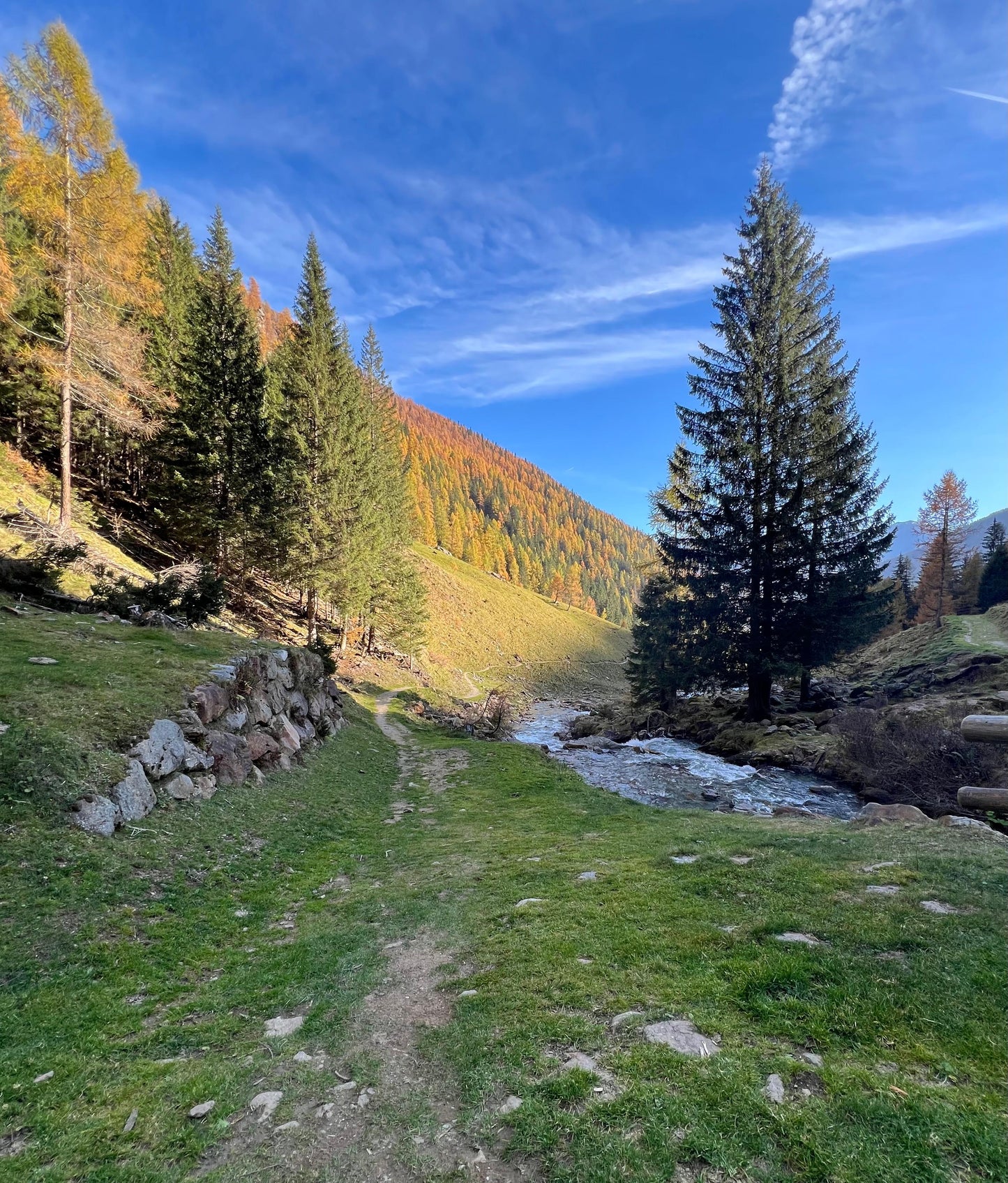 Foliage e Forest Bathing nelle Dolomiti: Immergiti nella Natura ⛰️🎒🌱 - Dolomist
