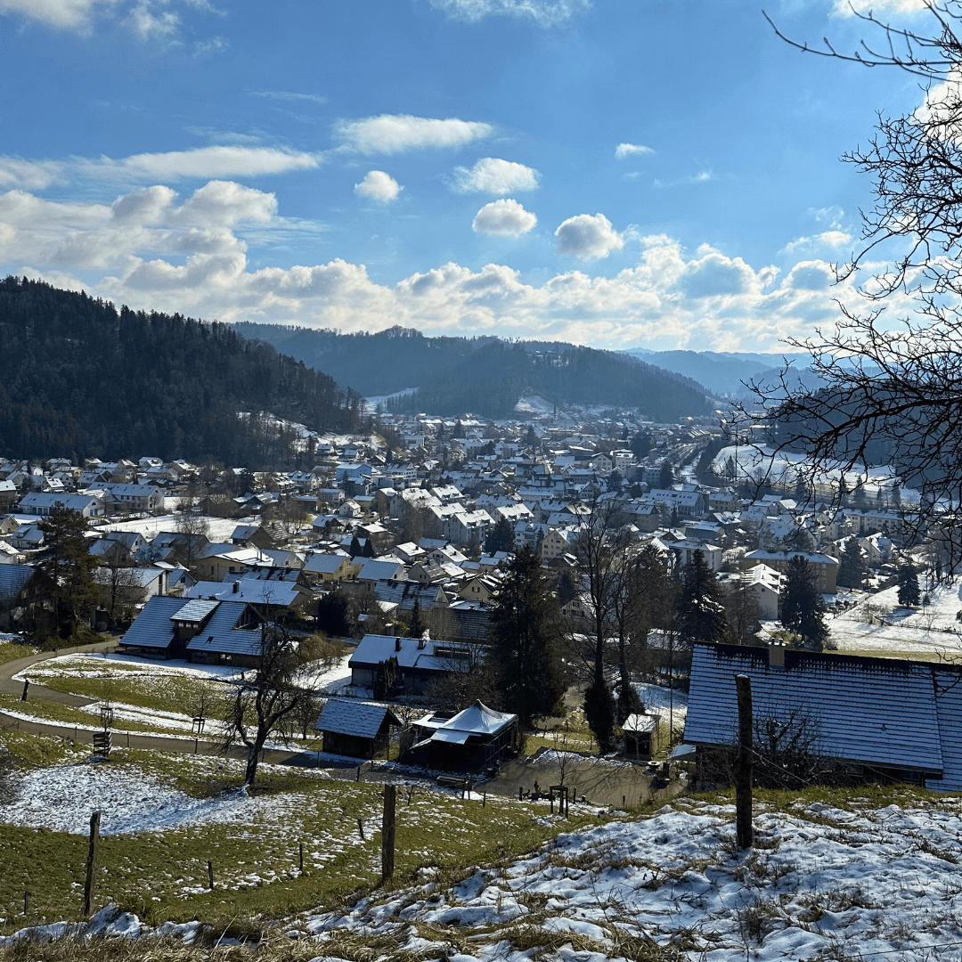 Hike and Yoga in Winterthur with tea time ❄️🧘🏽♀️☕️