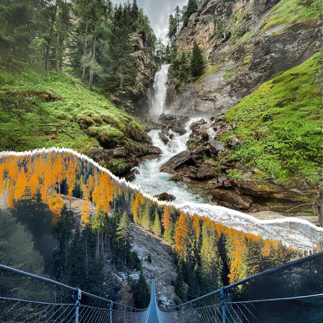 Foliage e Forest Bathing nelle Dolomiti: Immergiti nella Natura ⛰️🎒🌱 - Dolomist