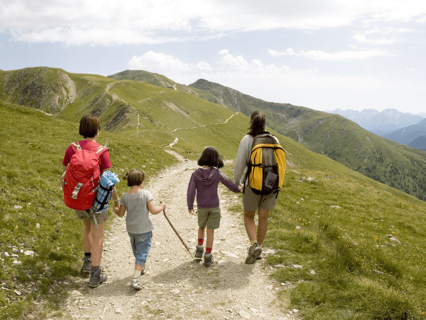 Mountain Family Lab: Scopri la Natura con i tuoi Bambini a Cortina 🚶🏼♀️🌱🫶🏻 - Dolomist