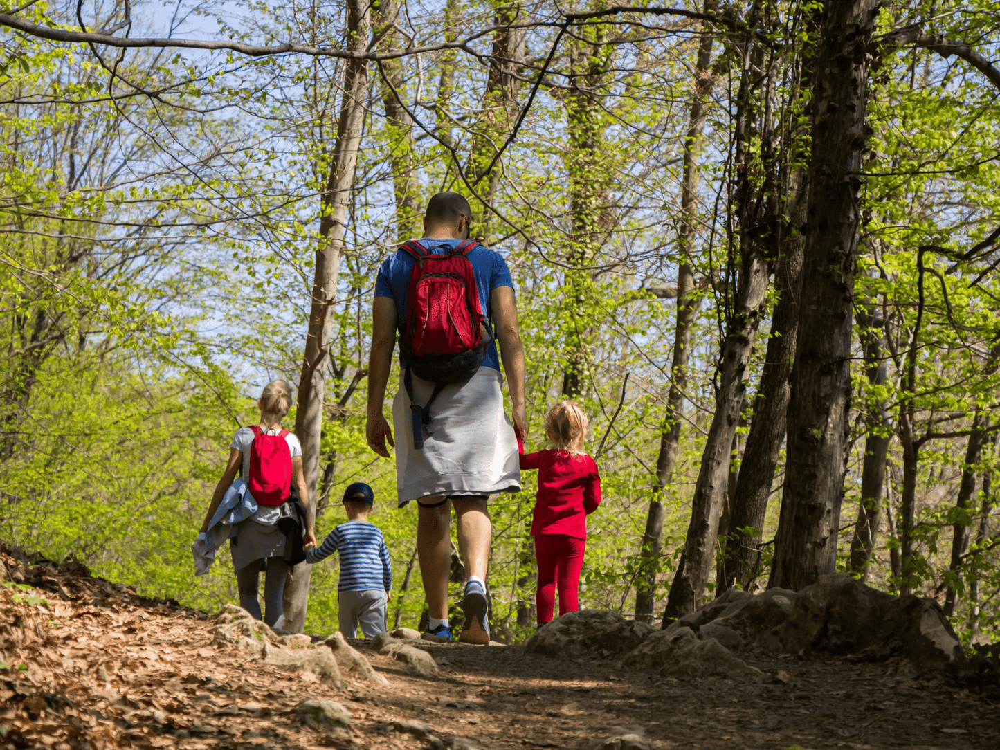 Mountain Family Lab: Scopri la Natura con i tuoi Bambini a Cortina 🚶🏼♀️🌱🫶🏻 - Dolomist