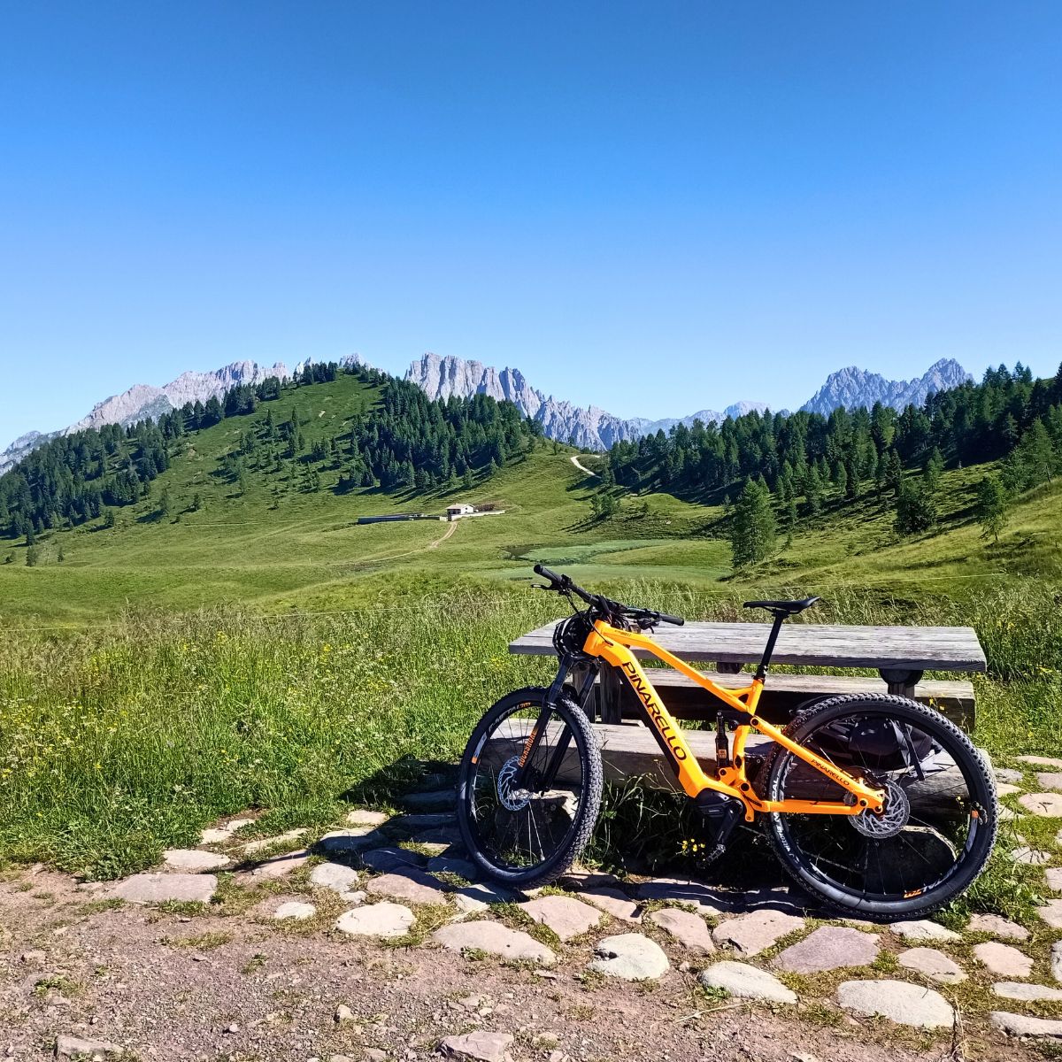 Bike trek tra le Alpi Carniche: tra Avventura e Natura - Dolomist