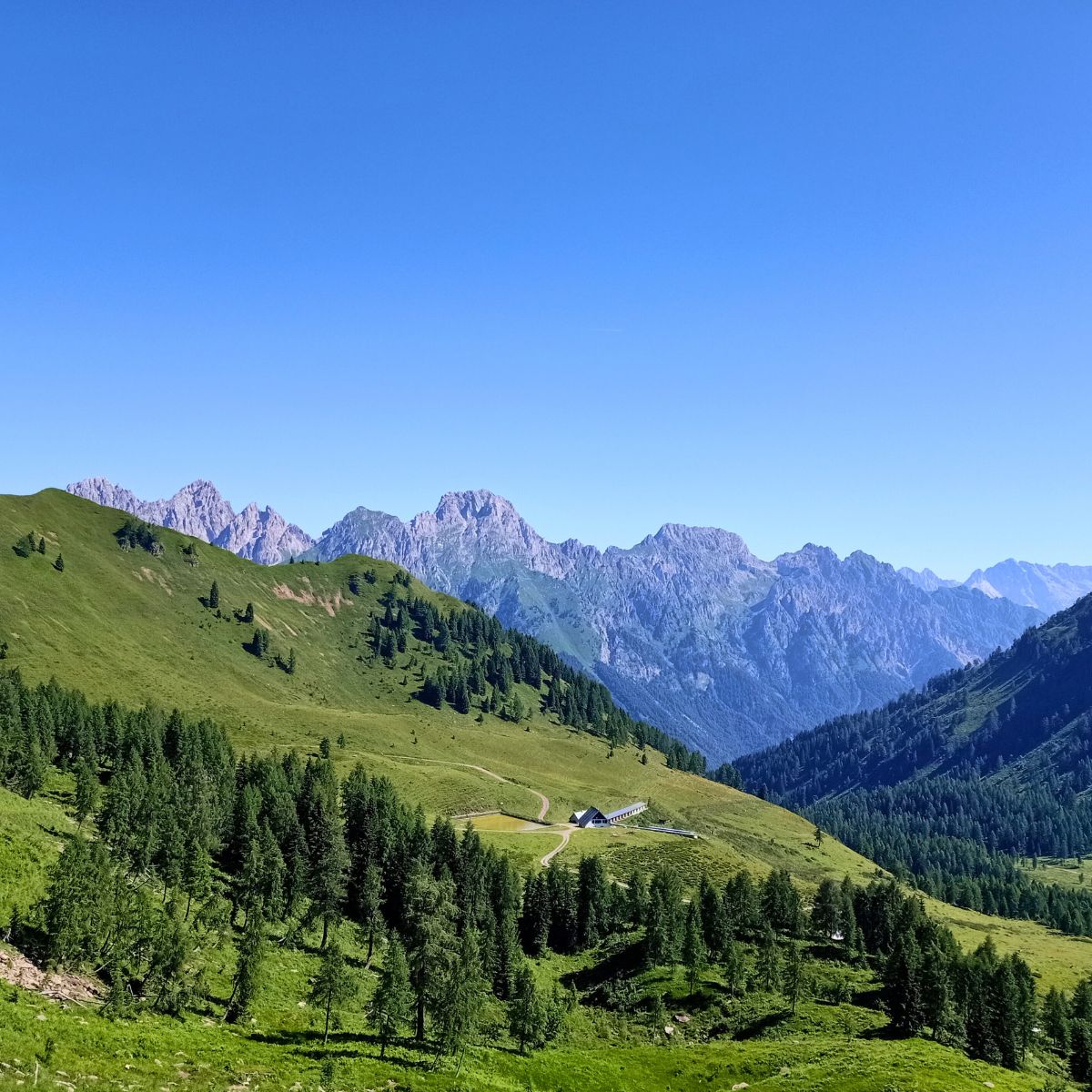 Bike trek tra le Alpi Carniche: tra Avventura e Natura - Dolomist