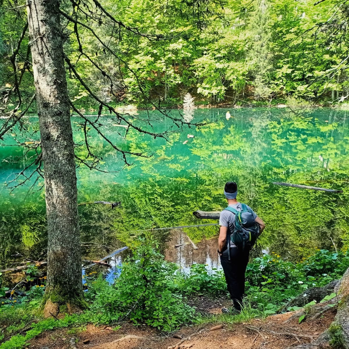 Bike trek tra le Alpi Carniche: tra Avventura e Natura - Dolomist