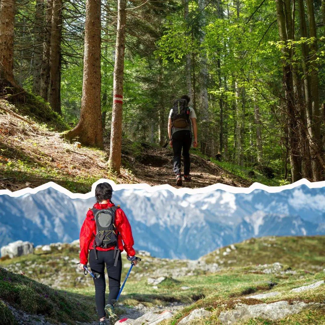 Aperitivo in Malga Fara e Masterclass Natura πβ°οΈπ» - Dolomist