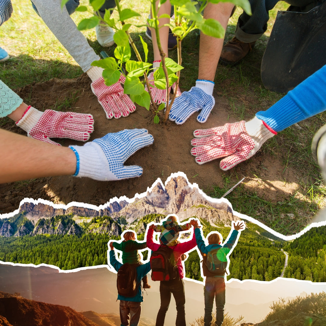Mountain Family Lab: Scopri la Natura con i tuoi Bambini a Cortina 🚶🏼♀️🌱🫶🏻 - Dolomist