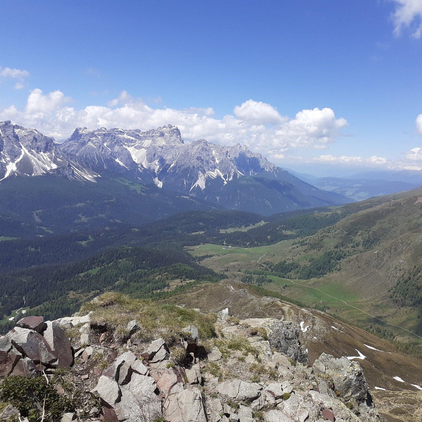 Malghe aperte: degustazioni in natura πβ°οΈπ» - Dolomist
