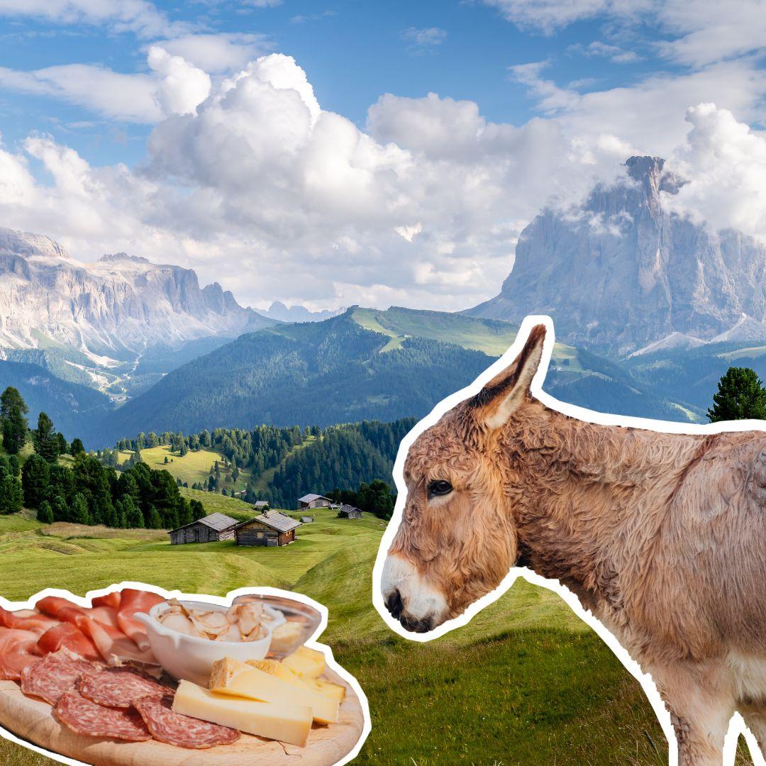 Malghe aperte: degustazioni in natura πβ°οΈπ» - Dolomist