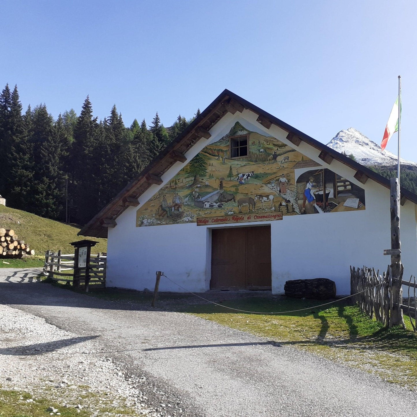 Malghe aperte: degustazioni in natura πβ°οΈπ» - Dolomist