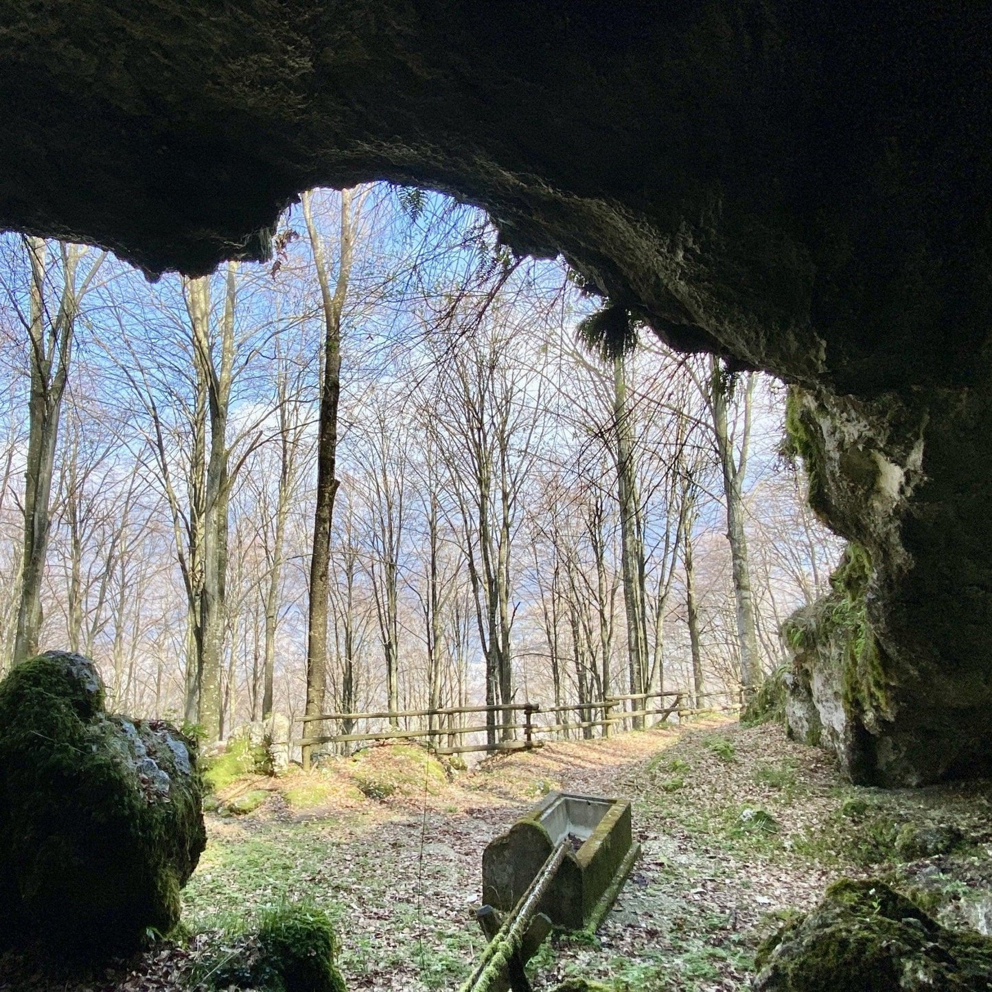 Malghe aperte: degustazioni in natura πβ°οΈπ» - Dolomist
