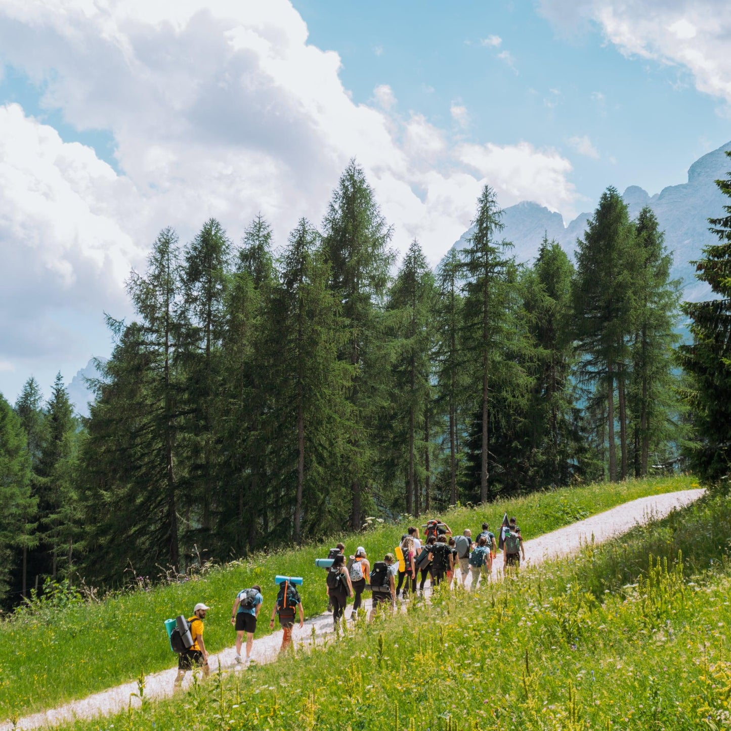Malghe aperte: degustazioni in natura πβ°οΈπ» - Dolomist