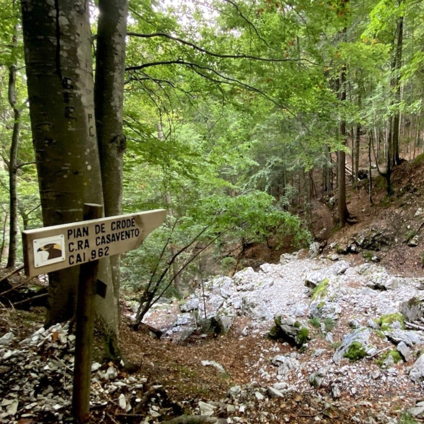 Un viaggio nel tempo attraverso la Storia delle Dolomiti Friulane πΆπΌββοΈπ²π§πΌβπ« - Dolomist