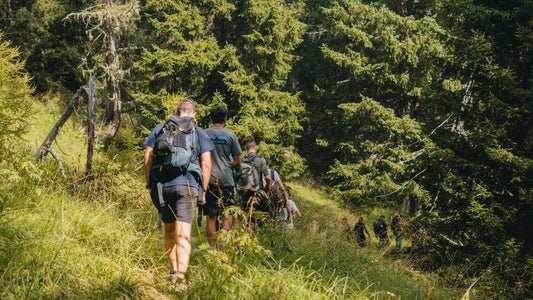 Team Building nella Natura: Perché i Ritiri Aziendali Outdoor Superano le Riunioni Tradizionali