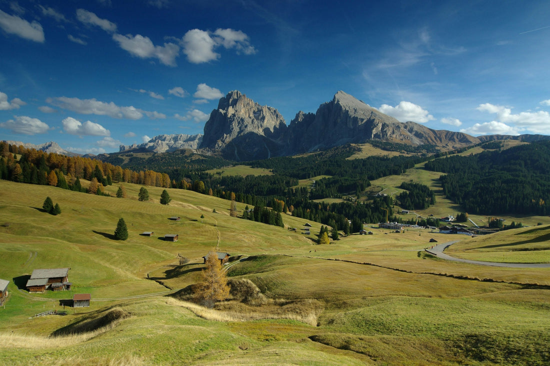 Sassolungo e Sassopiatto visti dai prati dell'Alpe di Siusi in autunno, Dolomiti