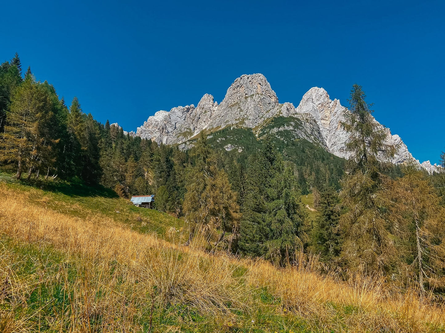 Escursione al Rifugio Chiggiato