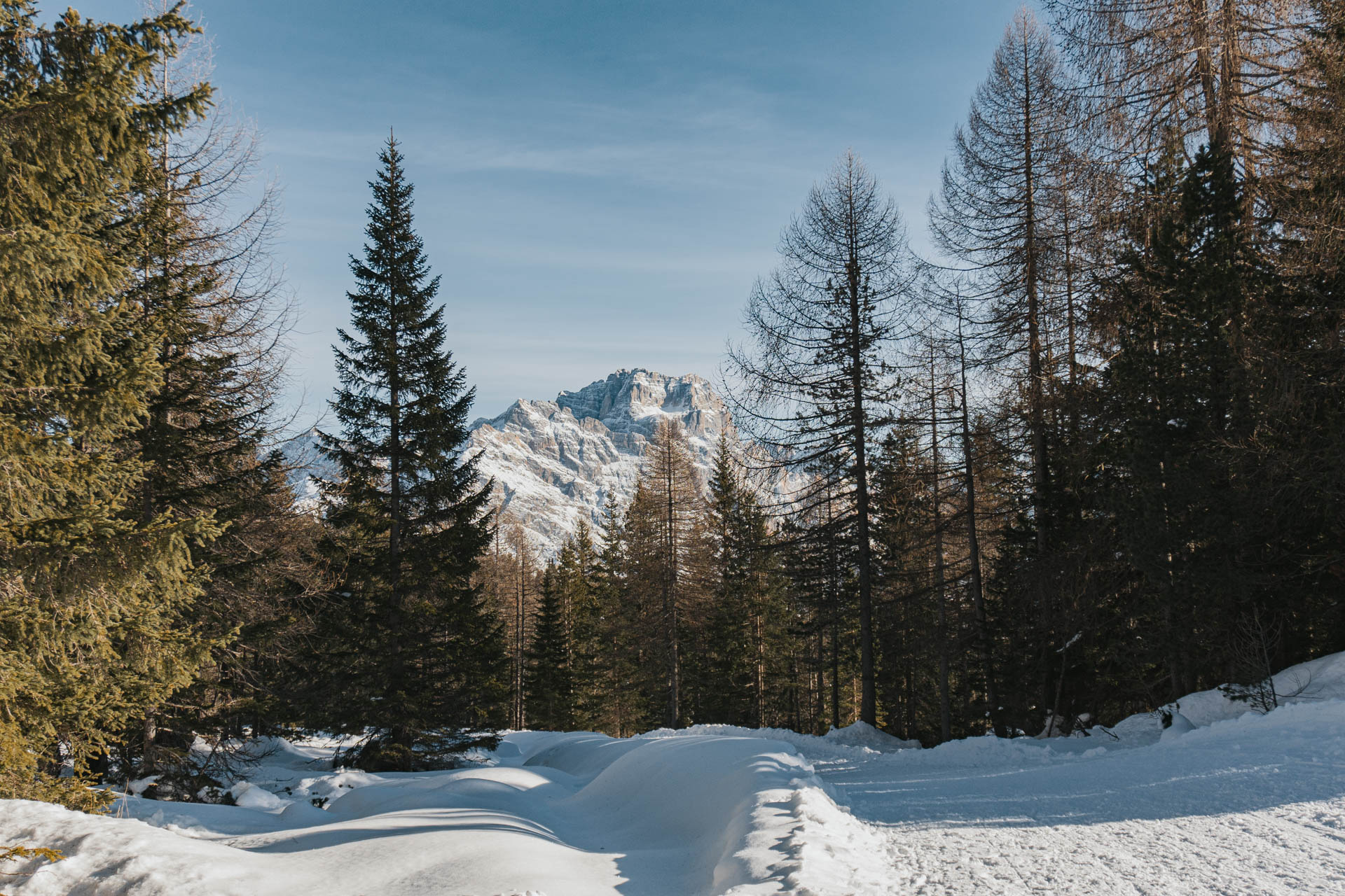 Ciaspolata al Rifugio Dibona