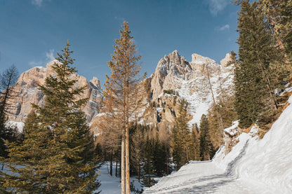 Ciaspolata al Rifugio Dibona