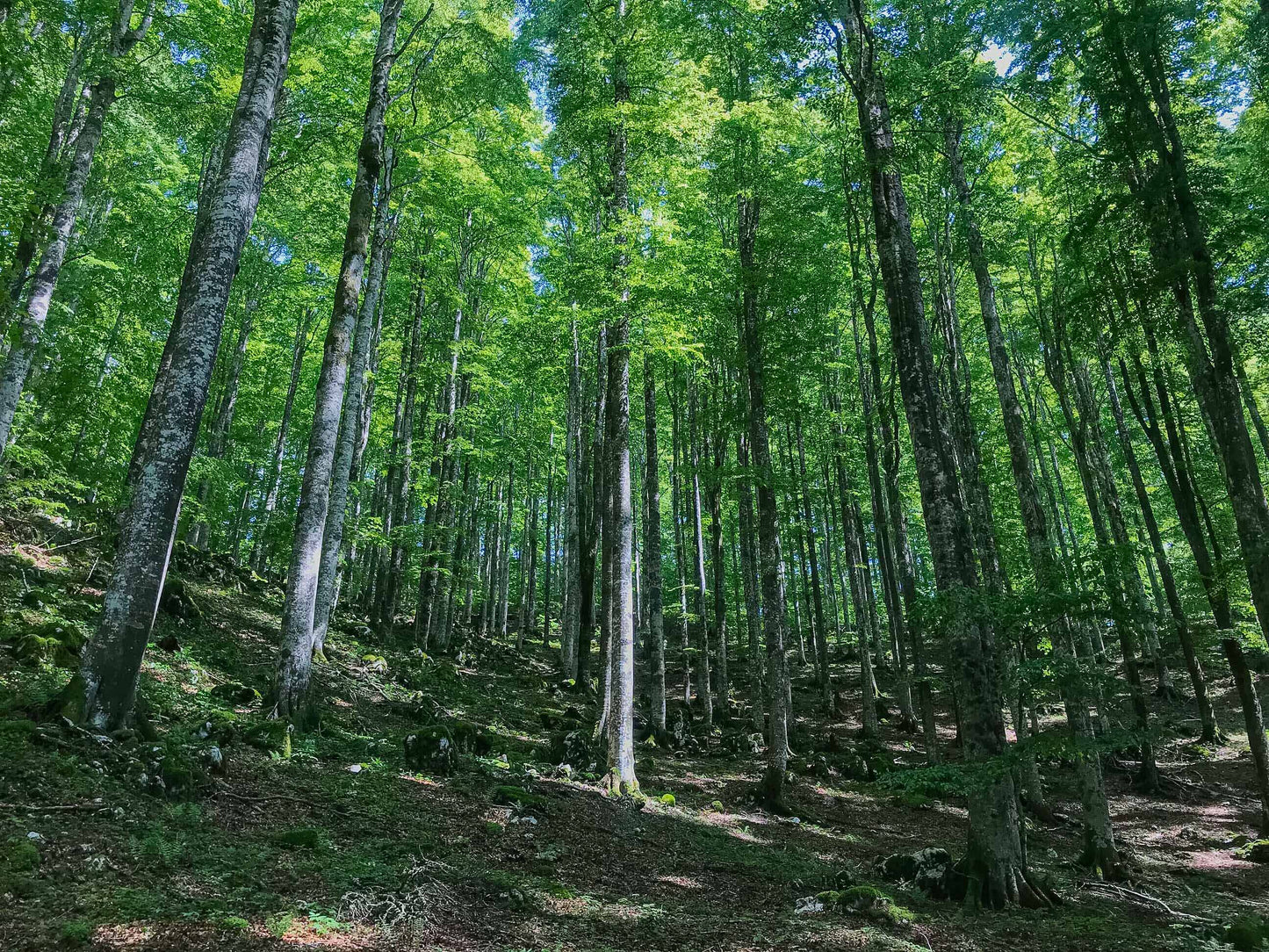 Camminata a Casera Ceresera