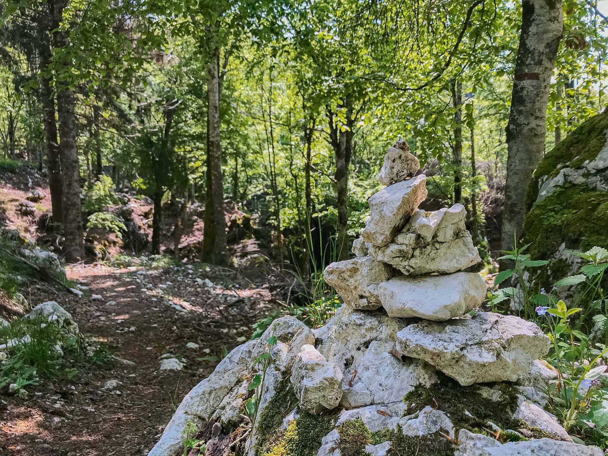 Camminata a Casera Ceresera