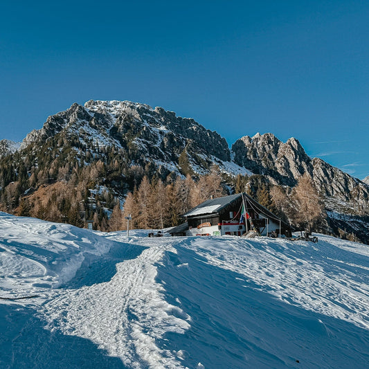 Escursione al Rifugio Antelao