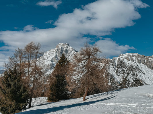 Escursione al Rifugio Antelao