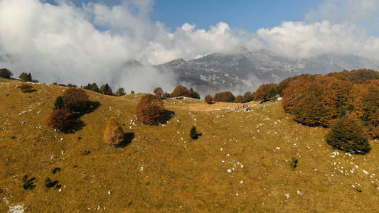 Camminata al giro delle Malghe di Piancavallo