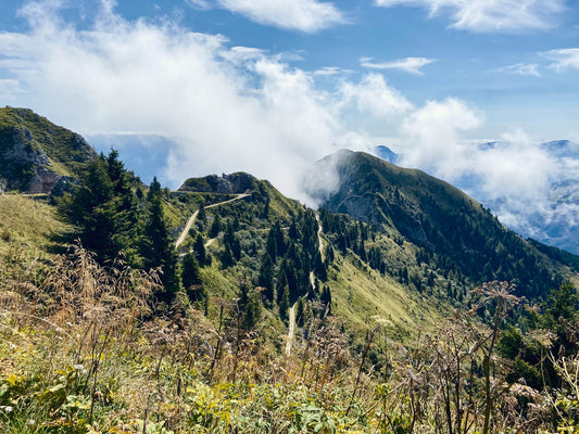 Escursione al Monte Pavione