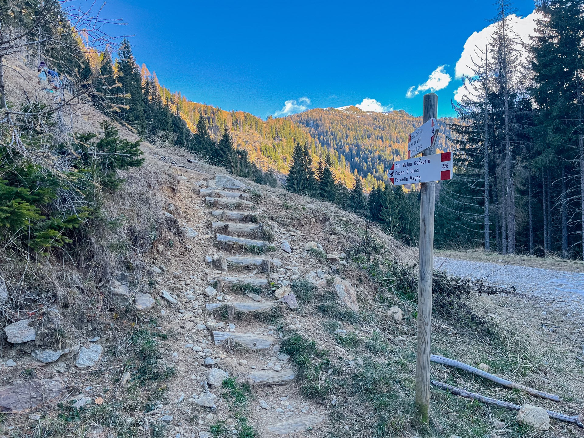 Escursione a Cima Socede