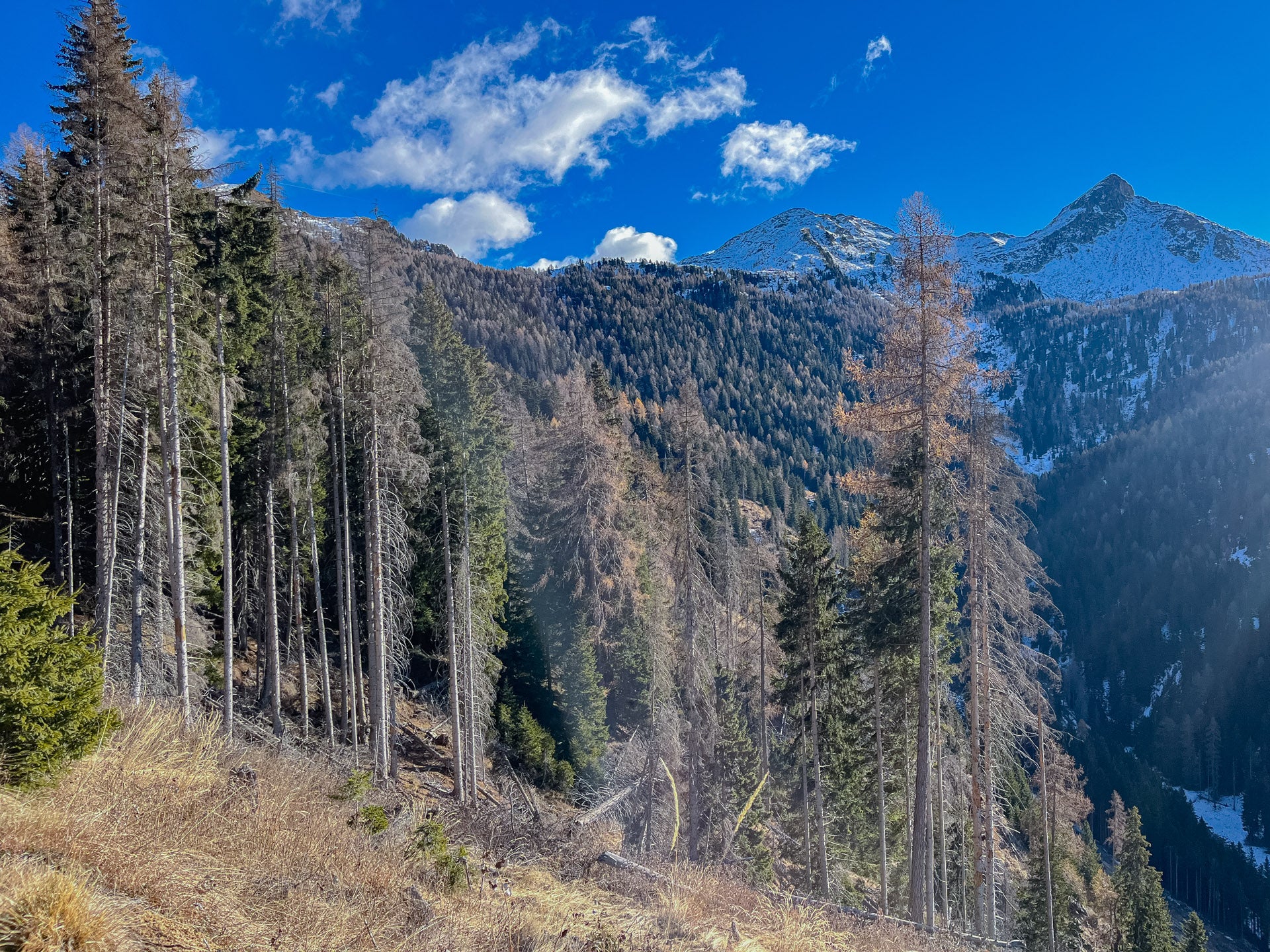 Escursione a Cima Socede