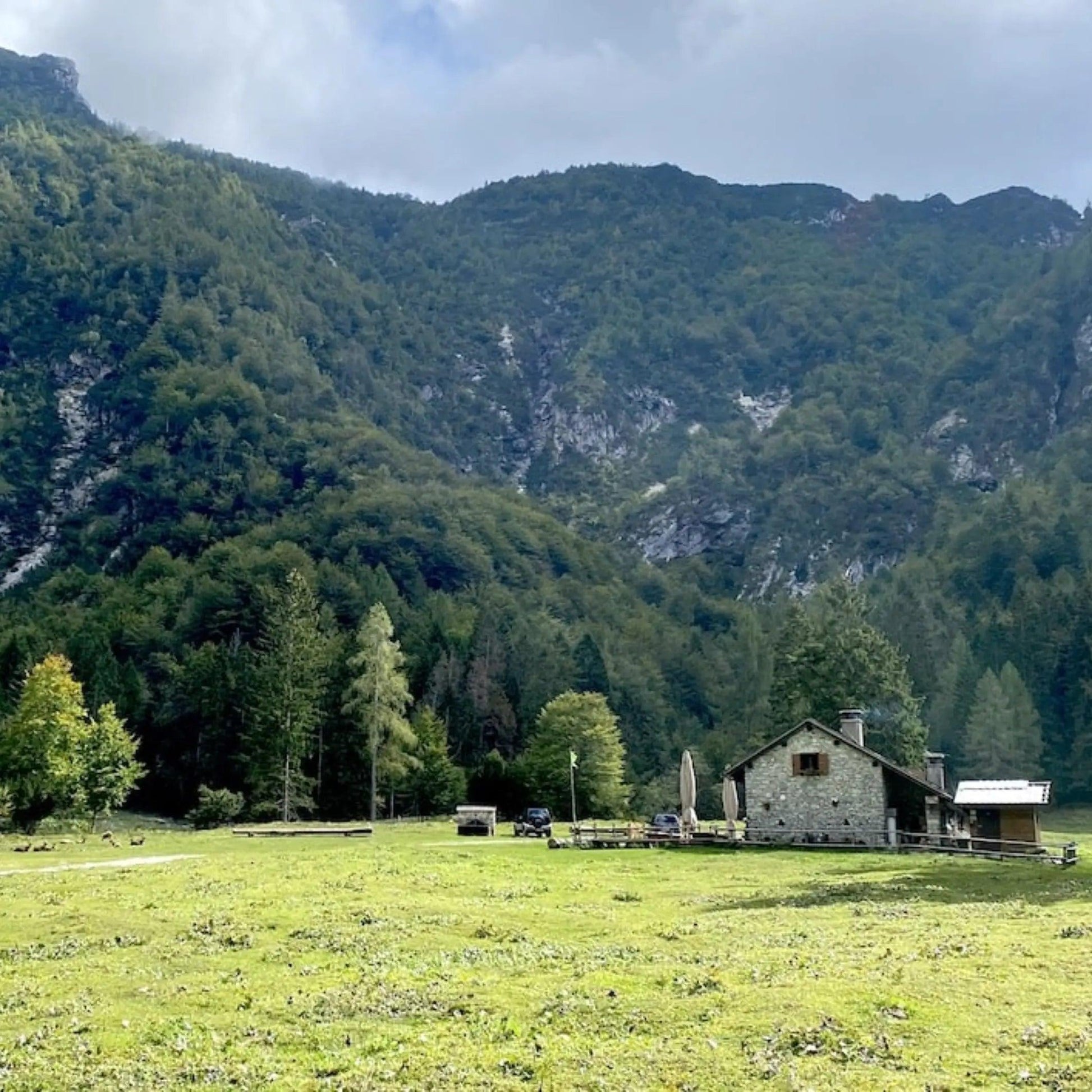 2 giorni nelle Dolomiti Friulane: musica, notte di stelle, yoga e degustazione in casera ⛺️🏔️✨ - Dolomist